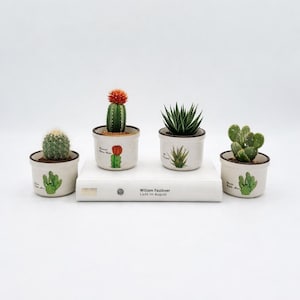 May include: Four small potted cacti and succulents in decorative ceramic pots. The pots are off-white with a brown rim and a painted cactus design. The plants include a round cactus, a cactus with a red flower, and a spiky succulent.