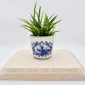 May include: A green snake plant in a white ceramic pot decorated with blue floral patterns and a windmill illustration. The pot rests on two stacked beige books, with the top book titled GASTON DIEHL - DIE MODERNEN in gold lettering.
