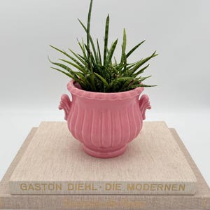 Amphore vase bertopf - Etsy.de