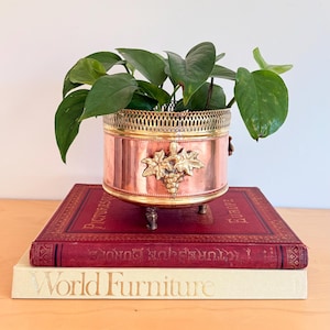 Könnte beinhalten: Ein Kupfer- und Messing-Pflanzgefäß mit einem dekorativen Traubenmuster, das eine grüne Blattpflanze enthält. Der Pflanztopf steht auf zwei Büchern mit roten und cremefarbenen Einbänden. Der Topf hat etwa 15 cm Durchmesser und 13 cm Höhe.