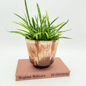 May include: A potted snake plant with green and yellow striped leaves in a brown and cream-colored ceramic pot. The pot sits on a closed book with the title "Regina Röhner" and "DER PROVOKATEUR" in red lettering.