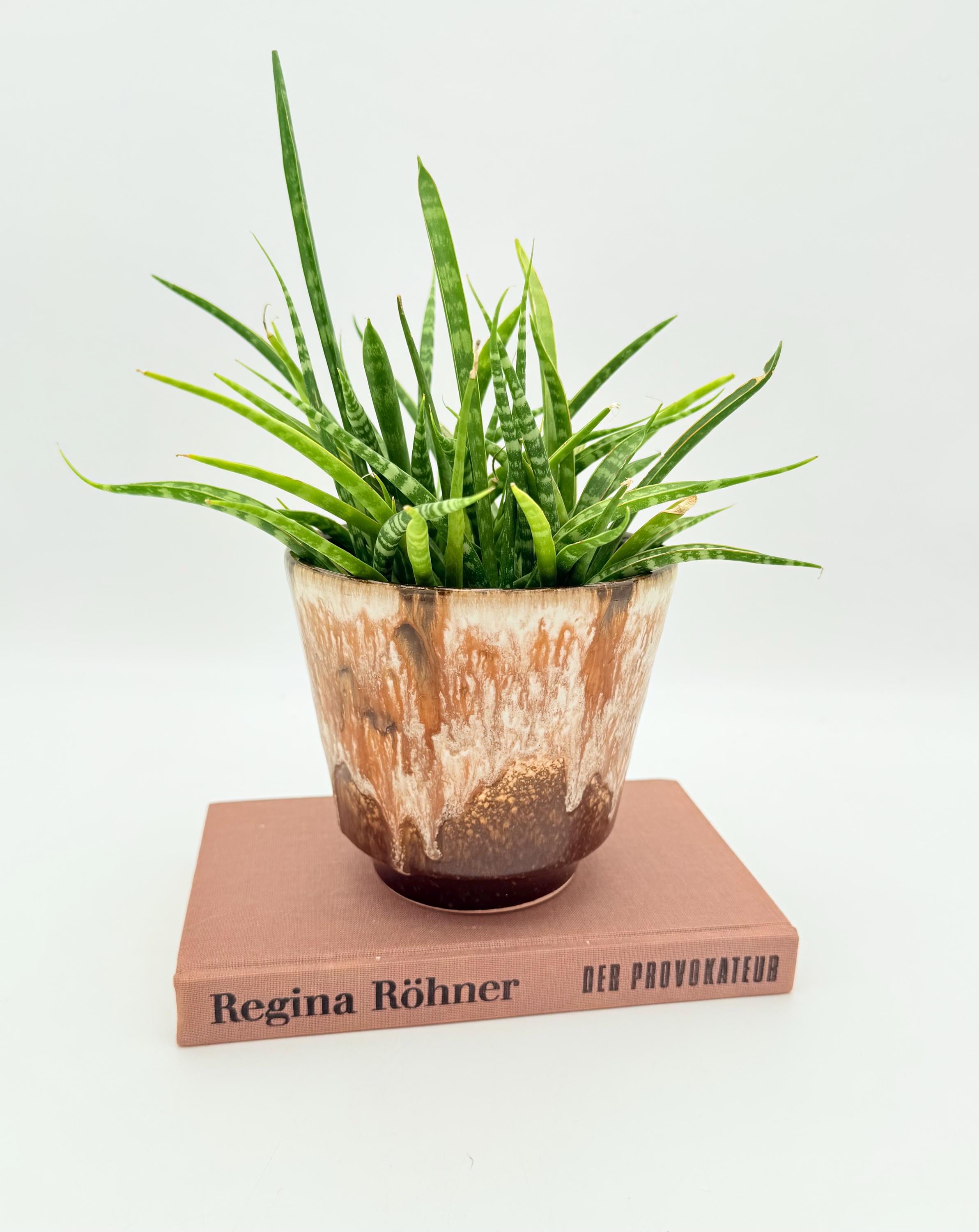 Fat lava planter - Etsy 日本