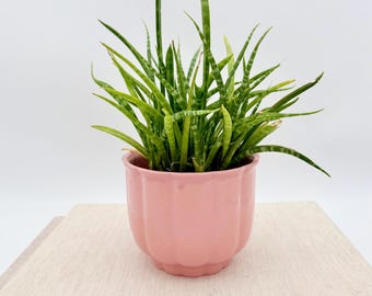 Vintage Pink WGP Planter West German Pottery 1970s 1980s Ceramic Plant Pot Retro Flower Pot Cottagecore Planter