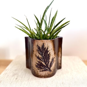 Könnte beinhalten: Ein brauner Keramiktopf mit Farnmuster enthält eine grüne Pflanze mit langen, schlanken Blättern. Der Topf steht auf einer hellen Oberfläche, wobei der Boden des Topfes auf einem Buch ruht.