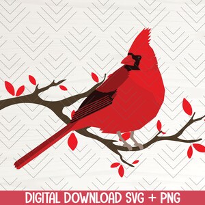 Cardinal Svg Cardinals Svg Cardinal Svg Svg Files For Etsy