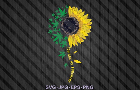 Download Weed Sunflower svg Medical Cannabis svg Funny Weed svg | Etsy