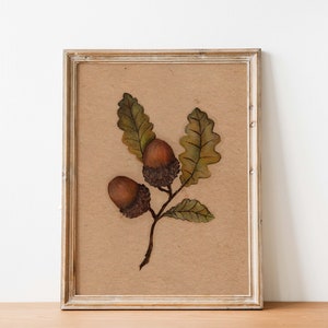 acorn wall art printable, fall vintage style acorn nut print, winter wall art acorn, instant download art from my original oil painting