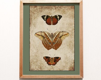 vintage butterfly print / nursery wall art / printable digital art / butterfly wall art / vintage poster / digital print / boho wall decor