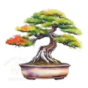 May include: Watercolor illustration of a bonsai tree in a ceramic pot. The tree features green and orange foliage, a textured brown trunk, and white roots. The pot is a light purple color. The image has the text "PRETTY BONSAI GRAPHICS" in the bottom left corner.