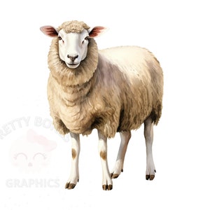 Pecora dell'acquerello Clipart, File di download istantaneo PNG, Design digitale di pecora per la lavorazione