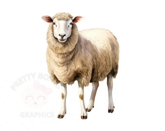 Clipart z akwarelą owiec, plik PNG do natychmiastowego pobrania, cyfrowy projekt owiec do tworzenia