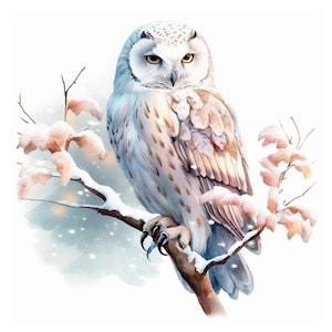 Schnee Eule Aquarell Clipart, JPG Digital Download, Kartenherstellung, Scrapbook Clipart, Digitale Papiermodelle, Journaling