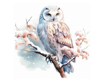 Snow Owl Watercolor Clipart No.1, JPG Digital Download, Card Making, Scrapbook Clipart, Digital Paper Craft, Journaling