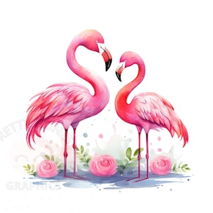 Flamingo Clipart, archivo de descarga instantánea PNG, diseño digital Flamingo para manualidades, fabricación de tarjetas, arte imprimible