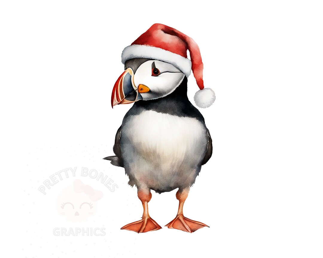 Christmas Puffin Clipart, PNG Instant Download File, Digital Paper ...