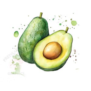 Clipart de aguacate, archivo PNG de descarga instantánea, diseño digital para manualidades, arte imprimible, clipart de frutas
