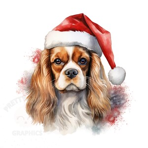 Noël Cavalier King Charles Clipart, PNG Fichier de téléchargement instantané, Artisanat en papier numérique, Art imprimable