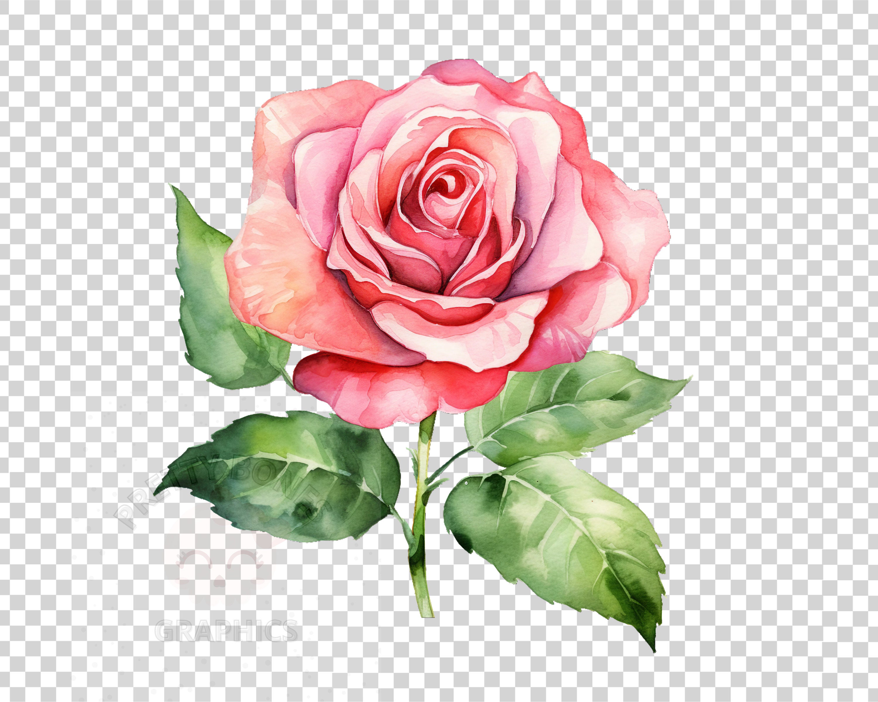 Pink Roses Clip Art Rounded Pink Rose Clipart, PNG Instant Download File, Digital Paper Craft, Card ...
