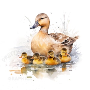 Canard et canetons Clipart, fichier de téléchargement instantané PNG, conception numérique aquarelle, fabrication de cartes, Art imprimable