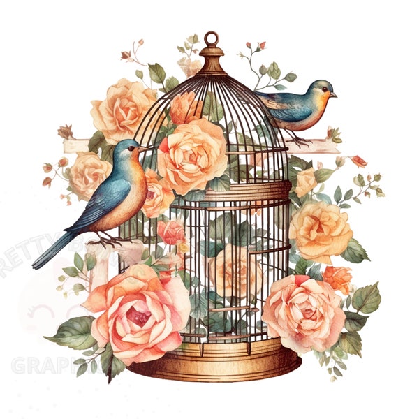 Vintage Bird Cage Clipart, PNG Instant Download File, Floral Watercolor Bird Cage Digital Design, Card Making, Printable Art