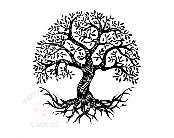 12 Tree of Life Svg Vector Clipart Bundle, Transparent Background ...