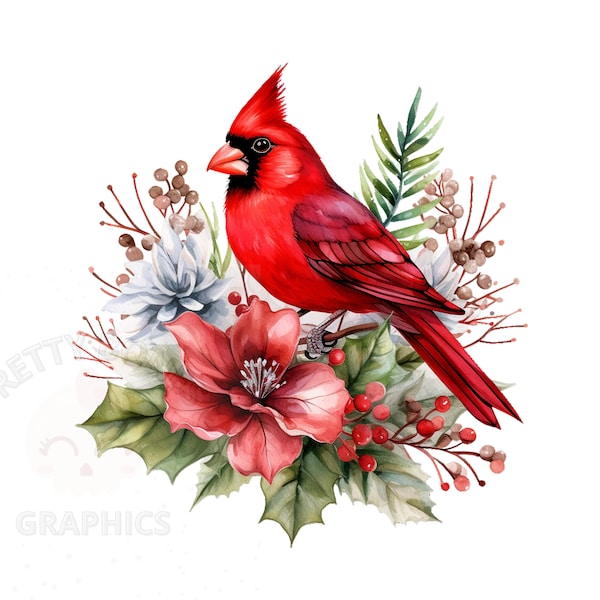Watercolor Christmas Cardinal Bird Clipart, PNG Instant Download File, Card Making, Printable Art
