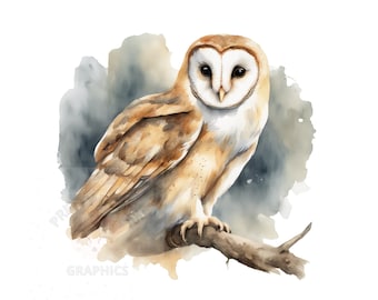 Barn Owl Clipart, PNG Instant Download Files, Digital Design For Crafting, Printable Art