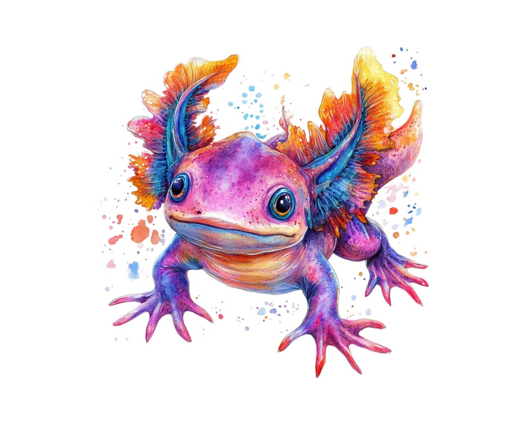 Axolotl Clipart, Funky and Colourful, PNG Instant Download File ...