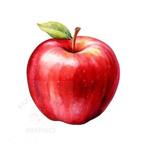 Acuarela Apple Clipart, archivo de descarga instantánea PNG, diseño digital de Apple para la elaboración, arte imprimible