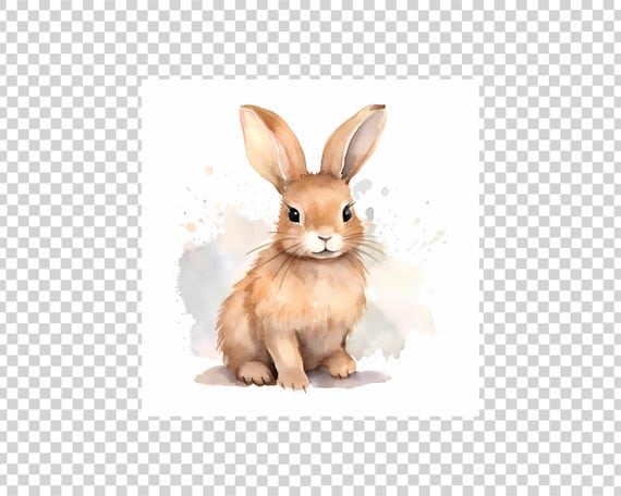 Bunny Rabbit Clipart, Watercolor JPG Digital Download, Card