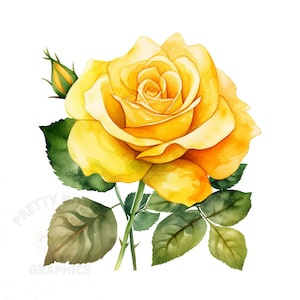 Gele roos clipart, PNG Instant Download-bestand, digitaal papier ambacht, kaart maken, afdrukbare kunst