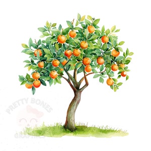 Orangen Baum Clipart, sofortiger Download PNG-Datei, digitales Design zum Basteln, druckbare Kunst