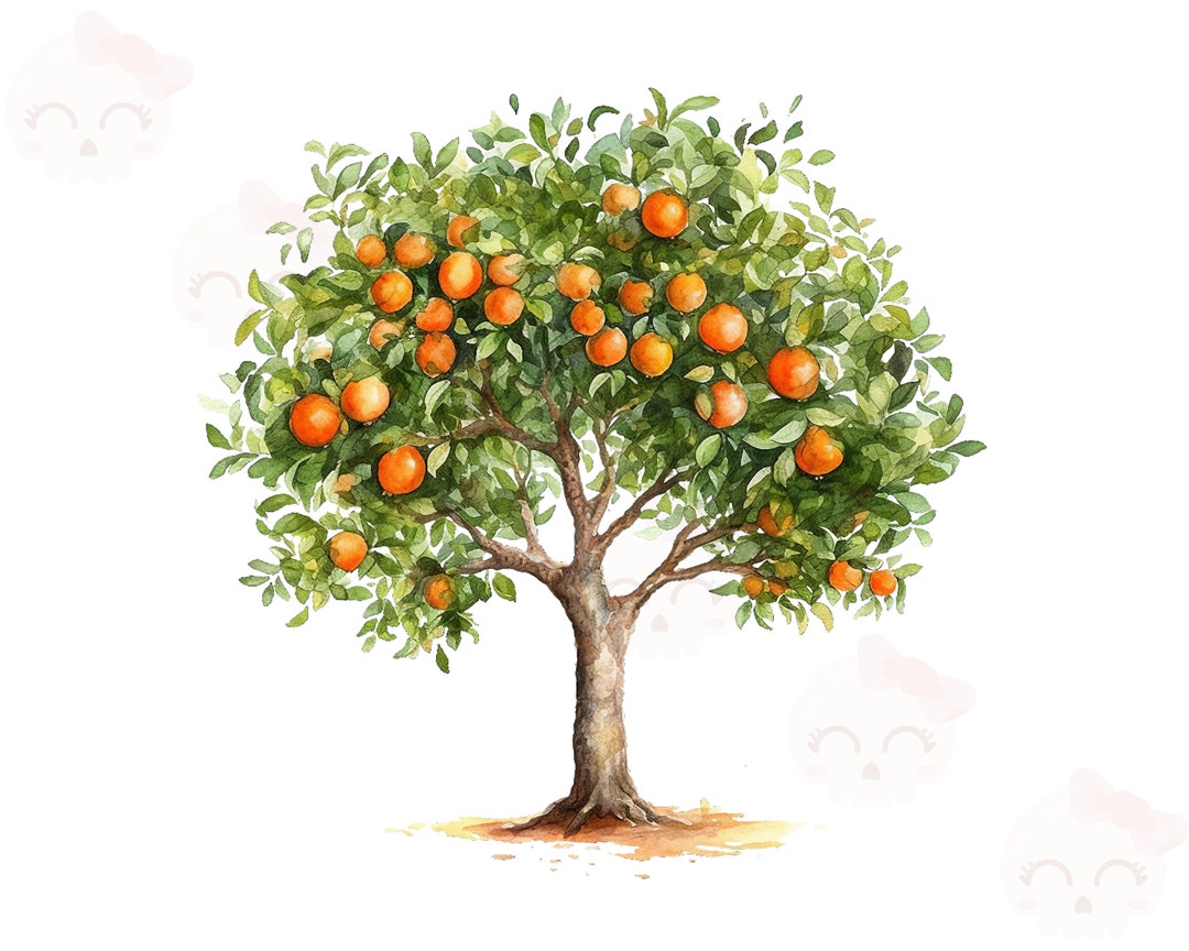 Watercolor Orange Tree Clipart, PNG Instant Download, Digital Paper