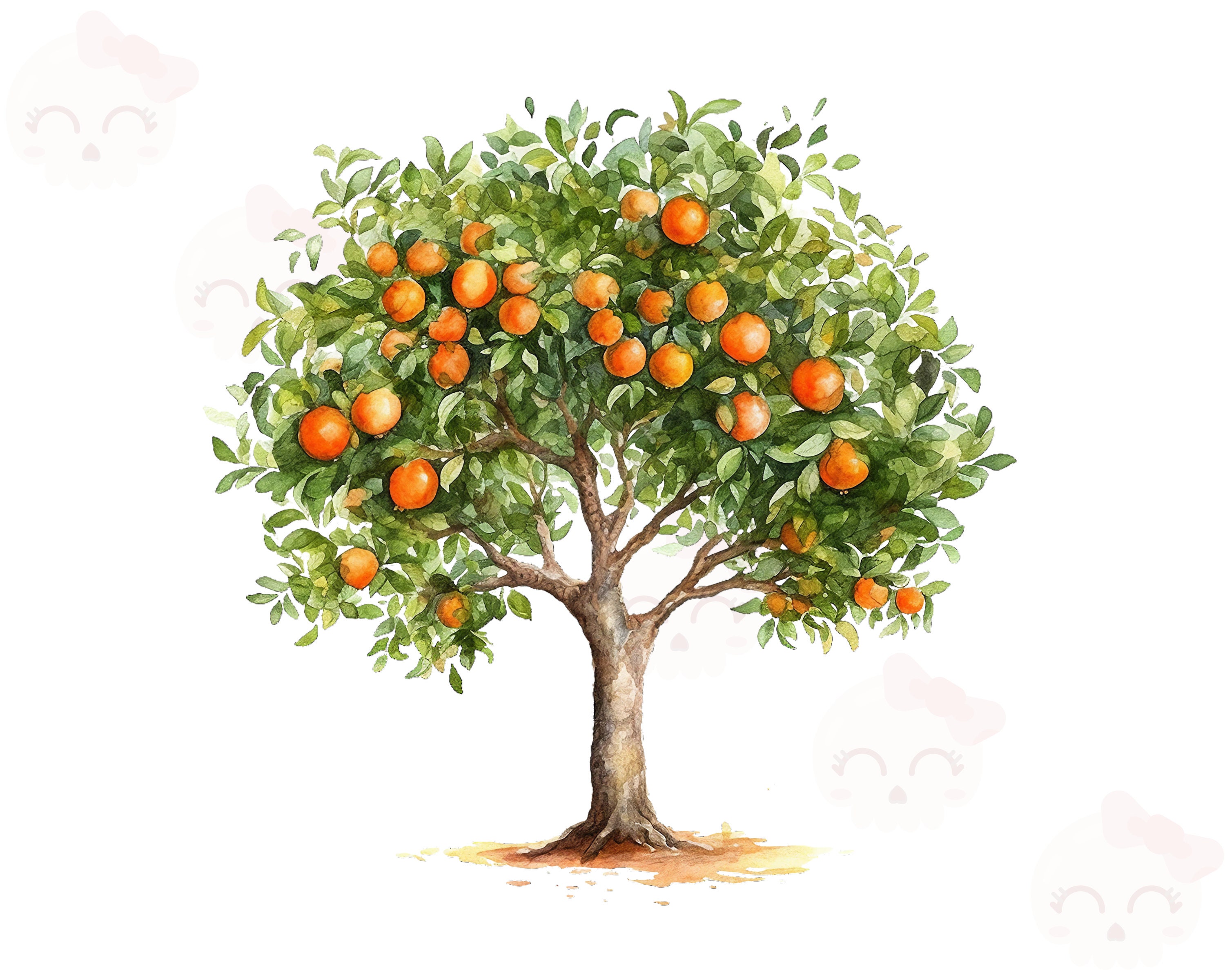 Watercolor Orange Tree Clipart PNG Instant Download Digital Etsy
