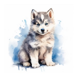 Clipart de chiot Husky aquarelle, fichier de téléchargement instantané JPG, carte faisant des Clipart, Art imprimable, artisanat en papier numérique