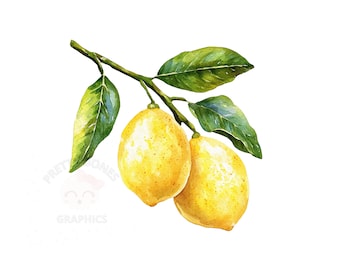 Lemon Fruit Clipart, PNG Instant Download File, Digital Paper Craft, Scrapbook, Printable Art