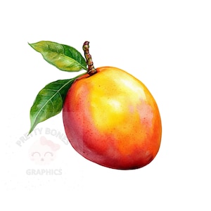 Clipart de mango, archivo PNG de descarga instantánea, diseño digital para manualidades, arte imprimible, clipart de acuarela