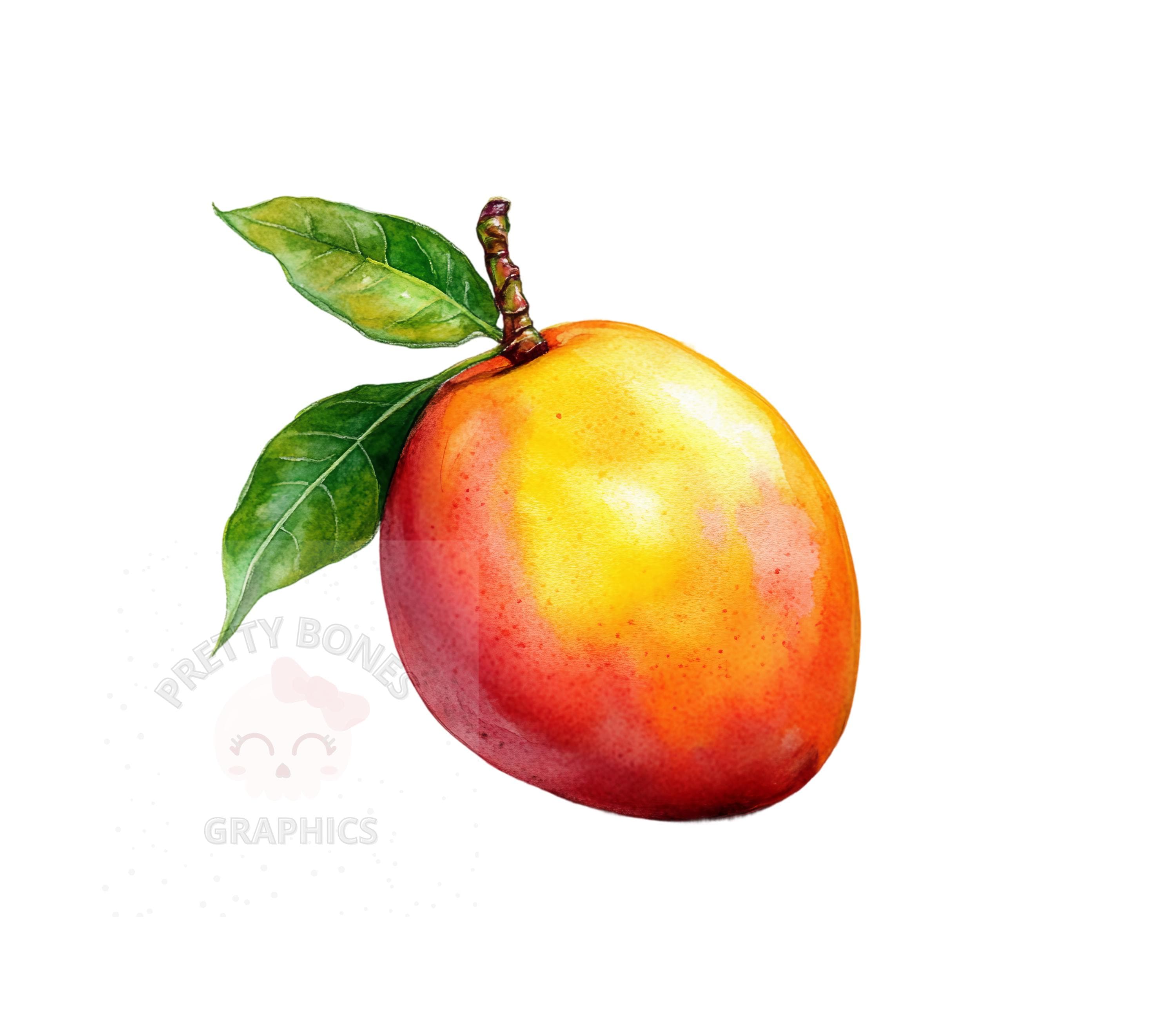 Clipart de mango, archivo PNG de descarga instantánea, diseño digital para  manualidades, arte imprimible, clipart de acuarela - Etsy México, image size:3000x2600