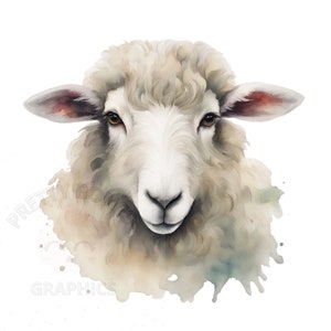 Clipart ritratto di pecora, File di download istantaneo PNG, Disegno digitale di pecore dell'acquerello per l'artigianato