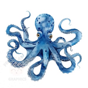 Oktopus Clipart, PNG Instant Download-Datei, digitales Design für das Basteln, Kartenherstellung Clipart