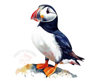 Aquarell Papageitaucher Clipart, PNG Instant Download-Datei, digitales Design zum Basteln, druckbare Kunst