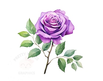 Watercolor Purple Rose Clipart, PNG Instant Download File, Digital Design For Crafting, Printable Art