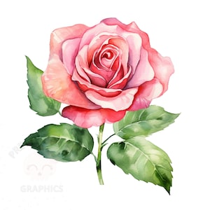 Pink Rose Clipart, PNG Instant Download File, Digital Paper Craft, Card Making, Printable Art