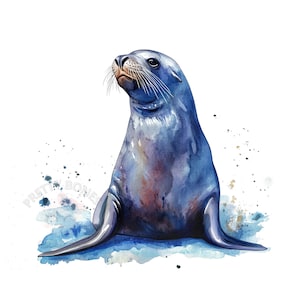 Clipart de león marino en acuarela, archivo PNG de descarga instantánea, diseño digital para manualidades, arte imprimible