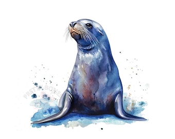 Aquarell Seelöwe Clipart, PNG Sofort-Download-Datei, digitales Design zum Basteln, druckbare Kunst