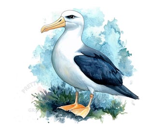 Aquarell Albatross Clipart, sofortiger Download PNG-Datei, digitales Design zum Basteln, druckbare Kunst, Albatros Vogel Clipart