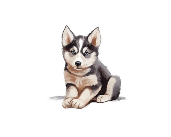 Cute Husky Puppy Clipart, PNG Digital Download File, Digital Paper