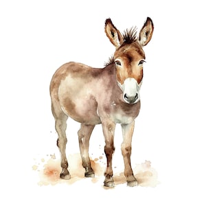 Aquarelle âne Clipart, fichier de téléchargement numérique PNG, techniques mixtes, Art imprimable, âne Digital Design