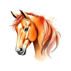 Horse Portrait Clipart, PNG Instant Download File, Digital Design For Crafting, Commercial Usage Allowed