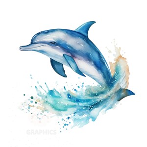 Watercolor Dolphin, PNG Instant Download Clipart, Digital Design For Crafting, Printable Art